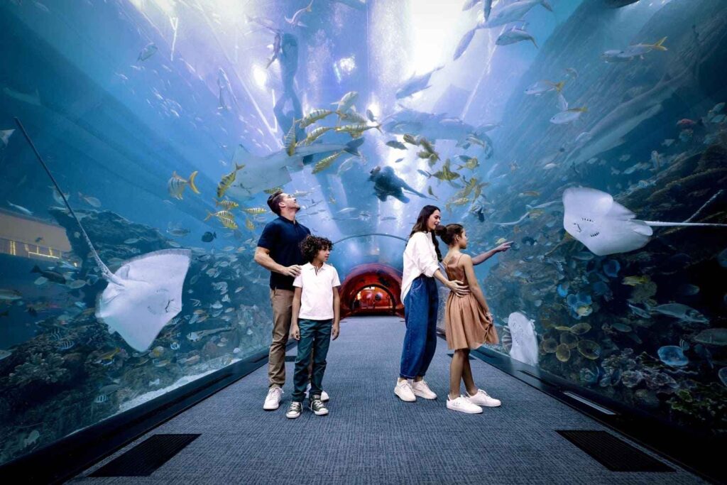 Le Dubai Aquarium Underwater Zoo Dubai Mall