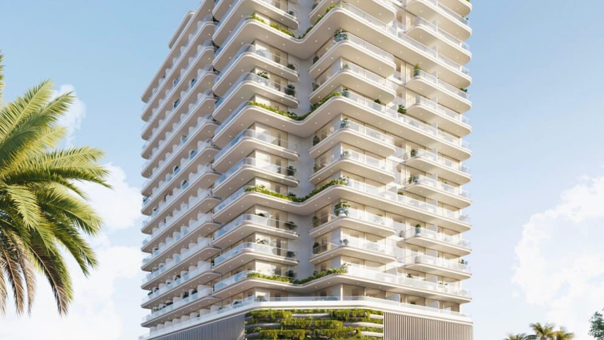 Cove Edition 3 imtiaz